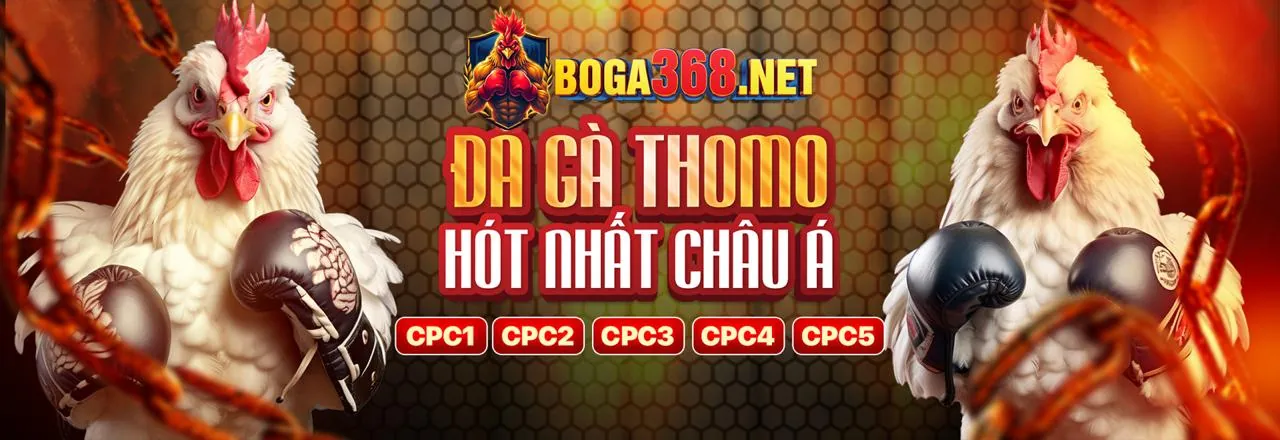 Hình ảnh FAQ D9BET