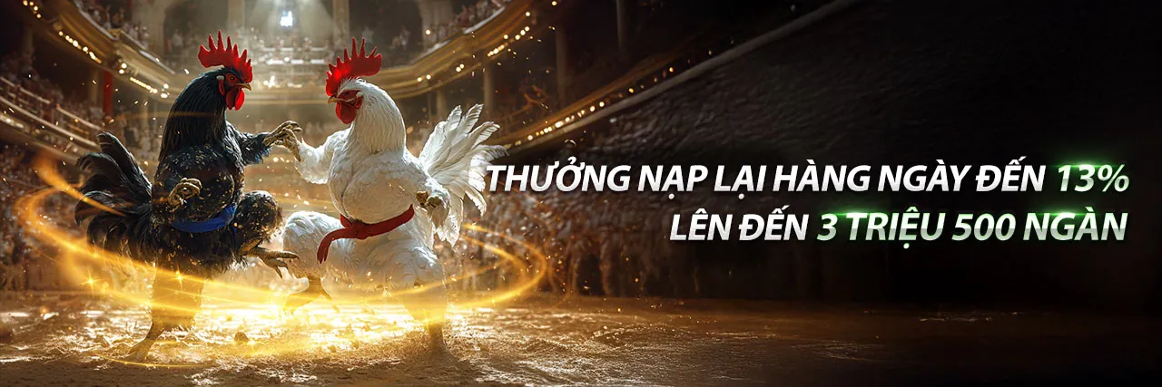 Khuyến mãi D9BET đăng nhập 2026